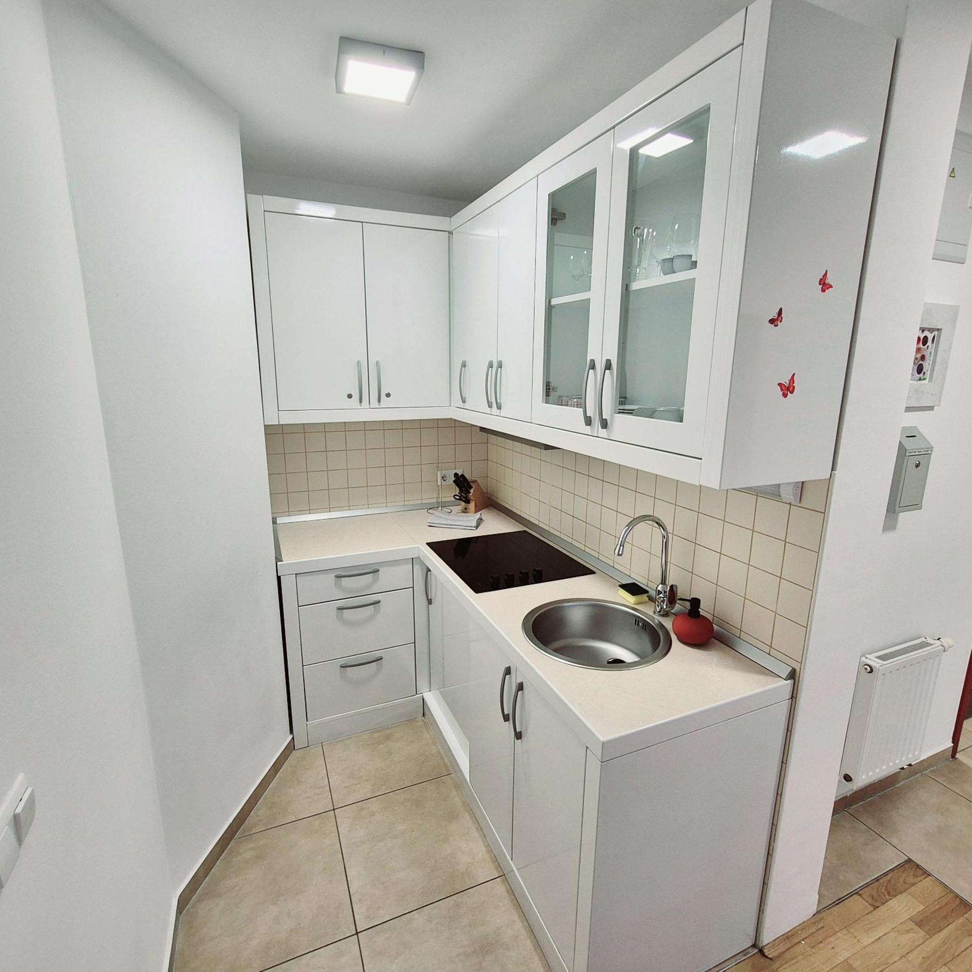 Apartmaji Panonia "The Big Space" & "The Cozy Space" Моравське Топлице Екстер'єр фото